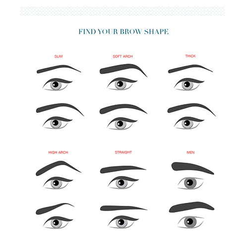 find your brow shape